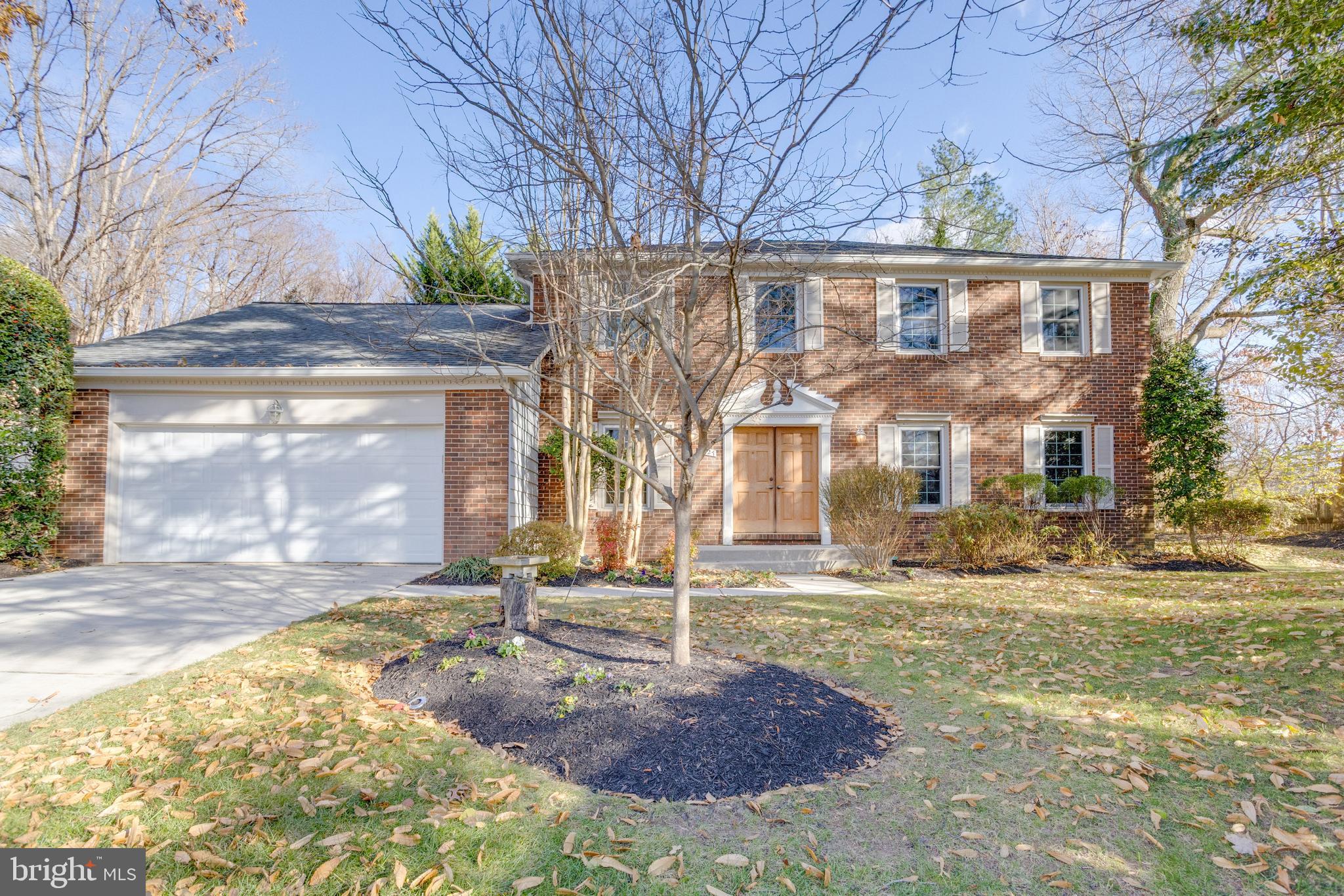 GEORGE MASON FOREST - Residential