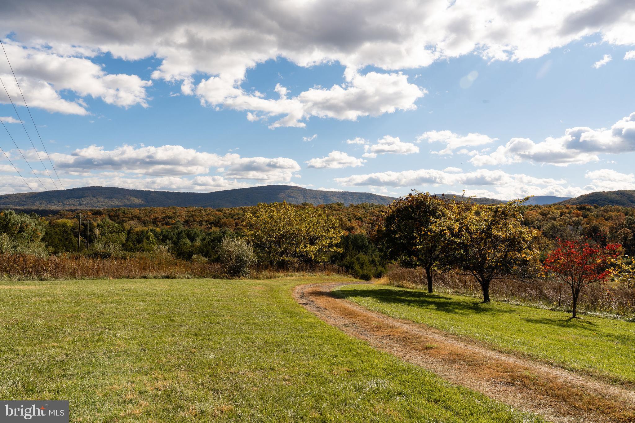 461 THUNDERBIRD ROAD