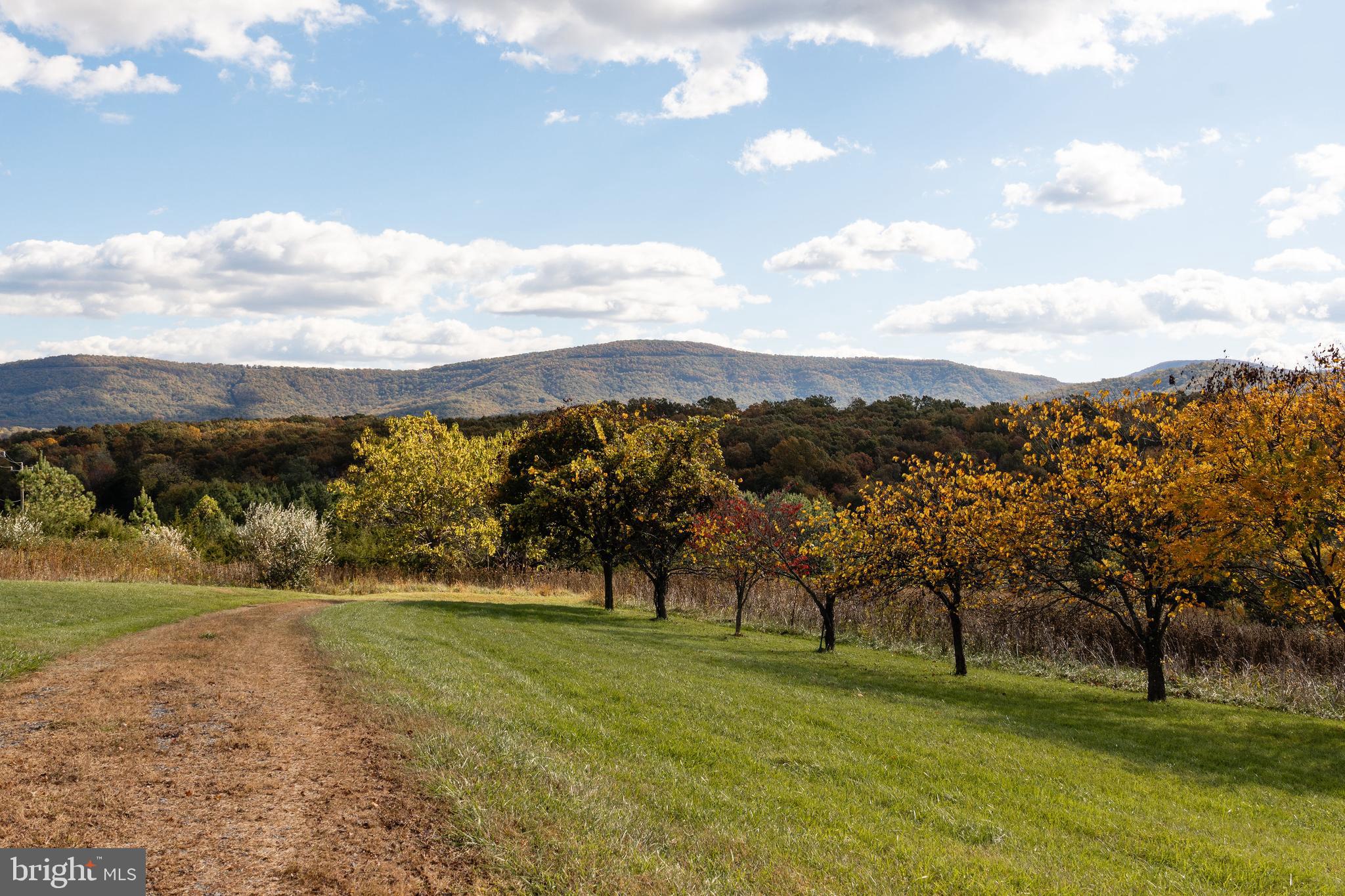 MADDOX PROPERTY - Residential