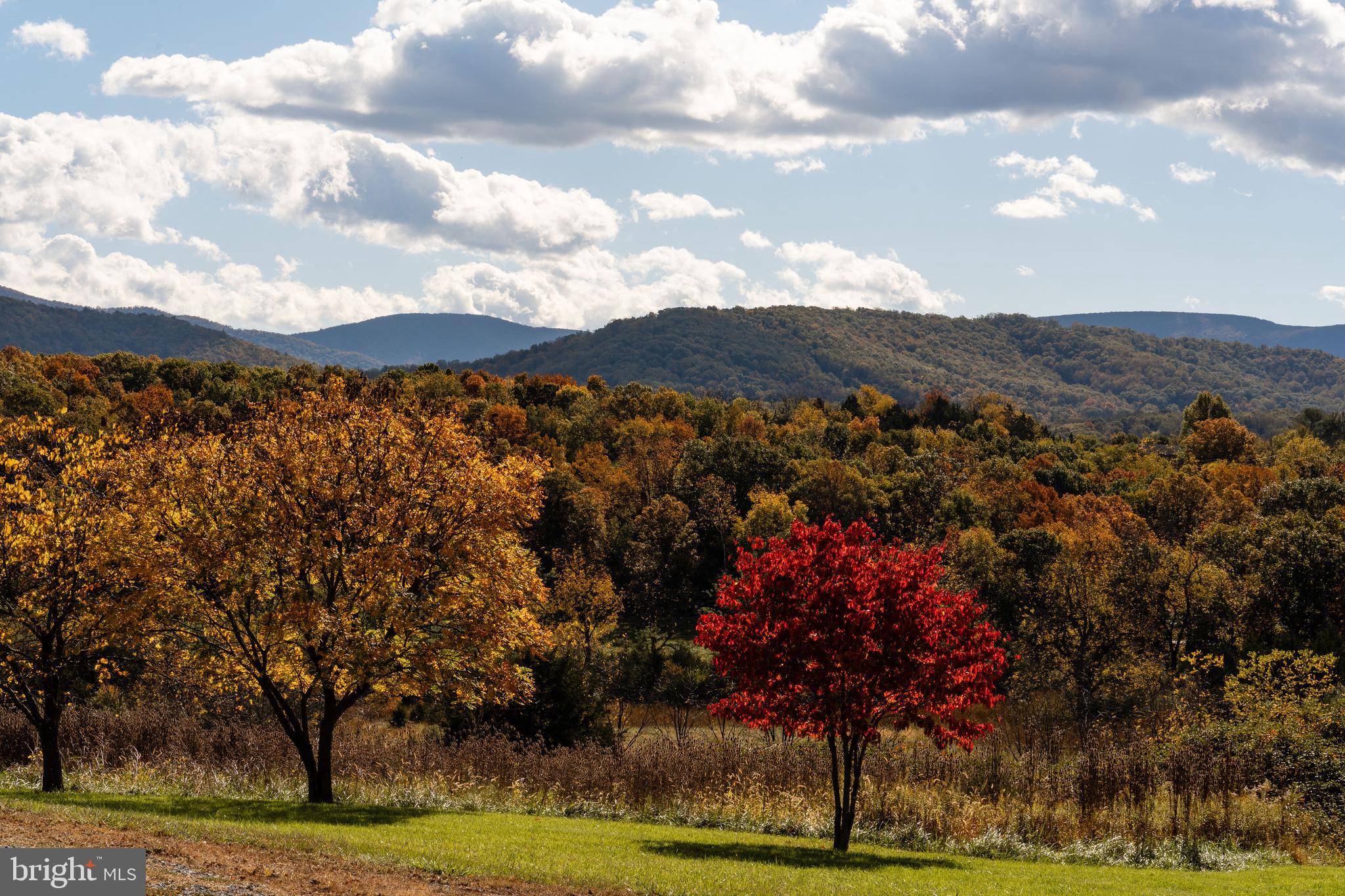 MADDOX PROPERTY - Residential