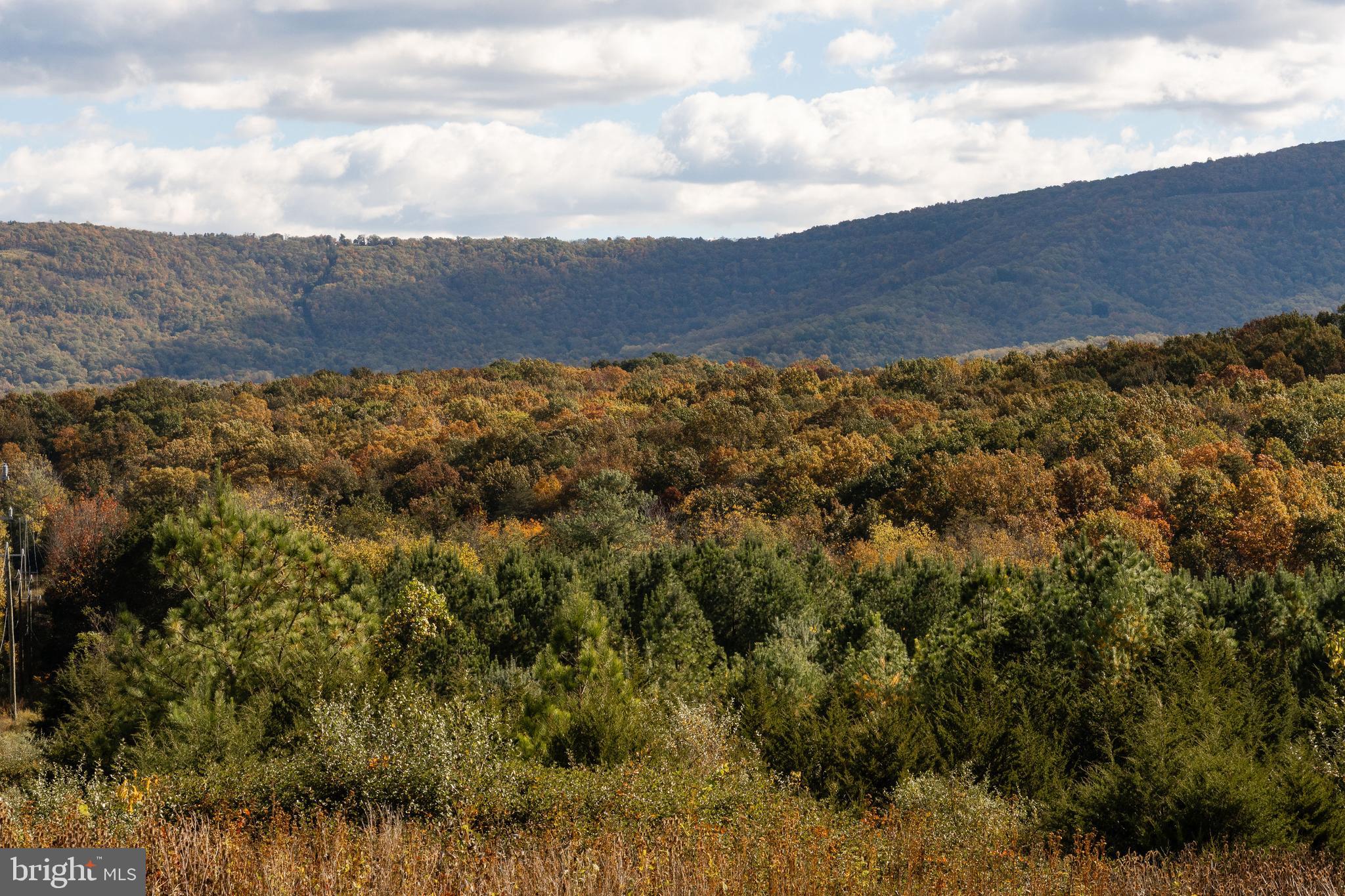 MADDOX PROPERTY - Residential