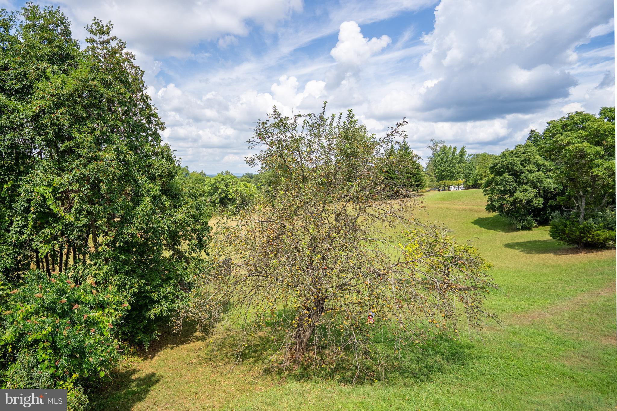 CHESTNUT GROVE - Residential