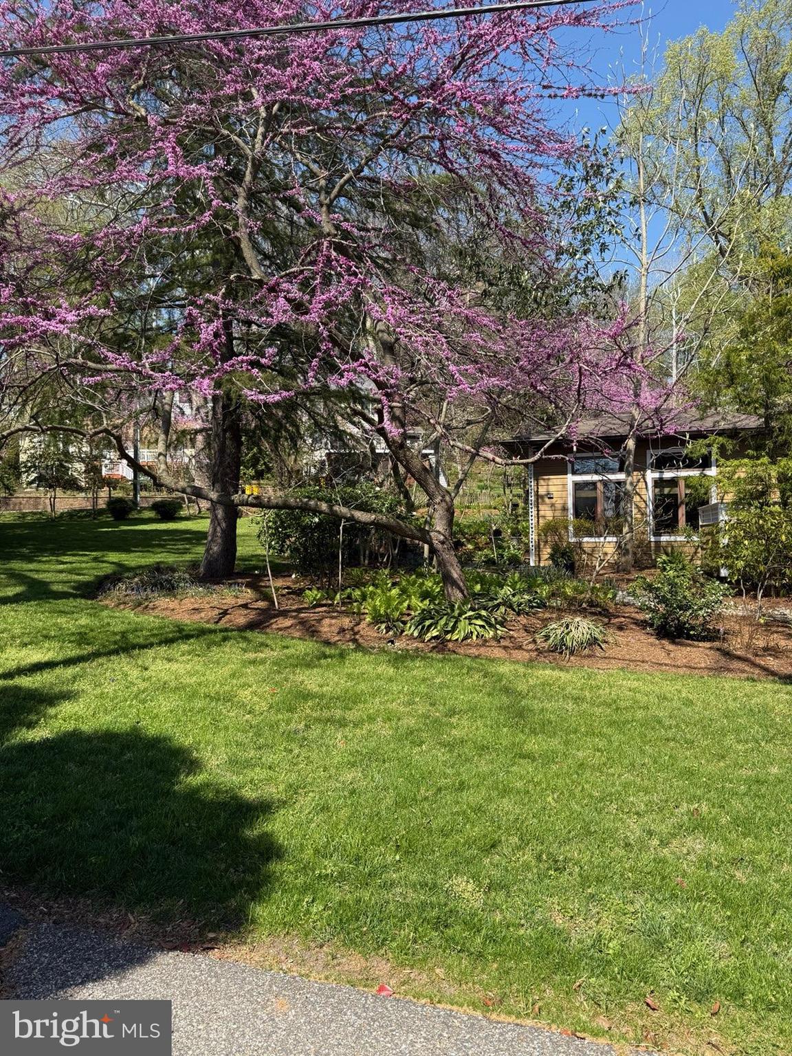 EPPING FOREST - Residential