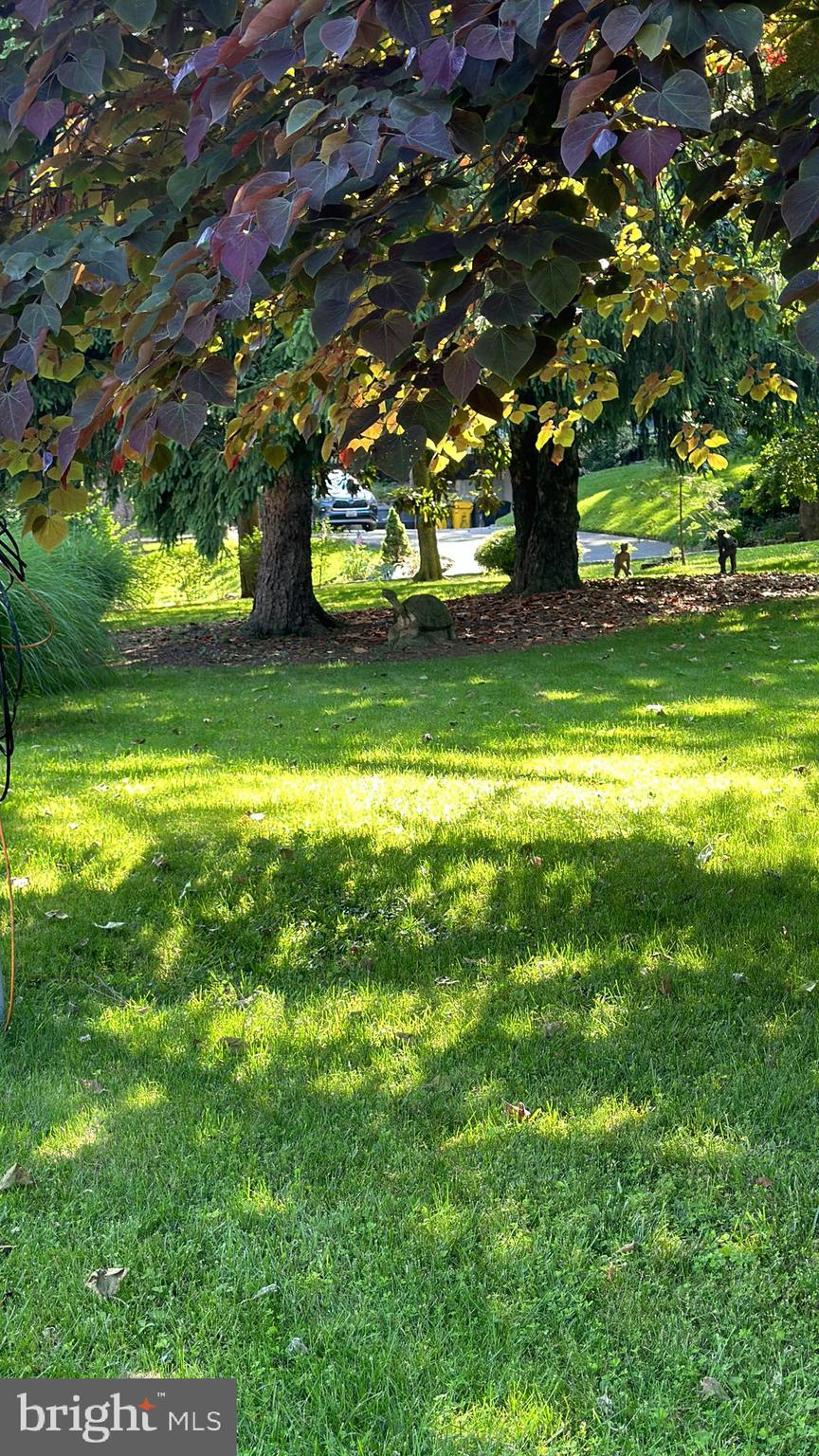 EPPING FOREST - Residential