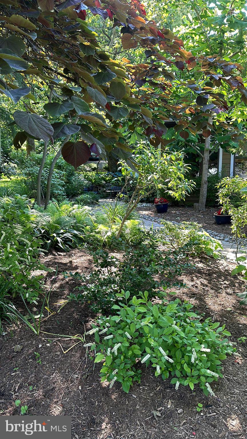 EPPING FOREST - Residential