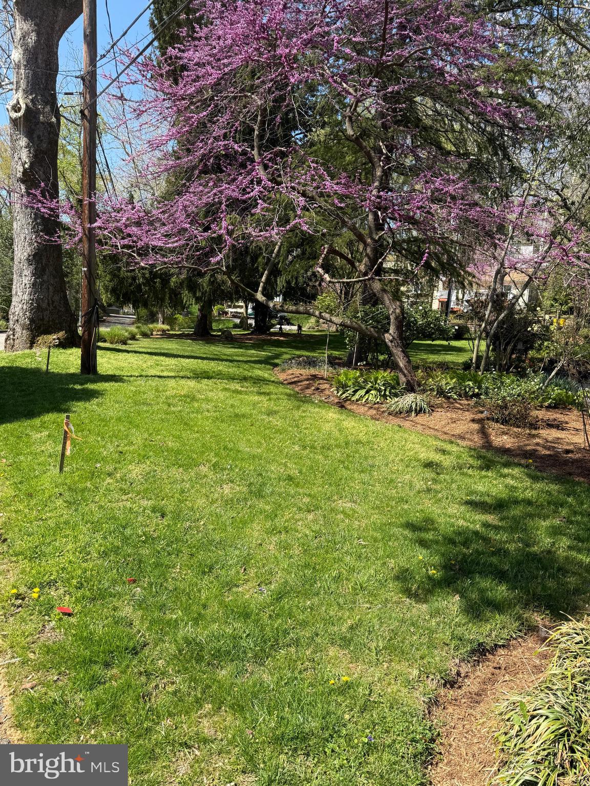 EPPING FOREST - Residential