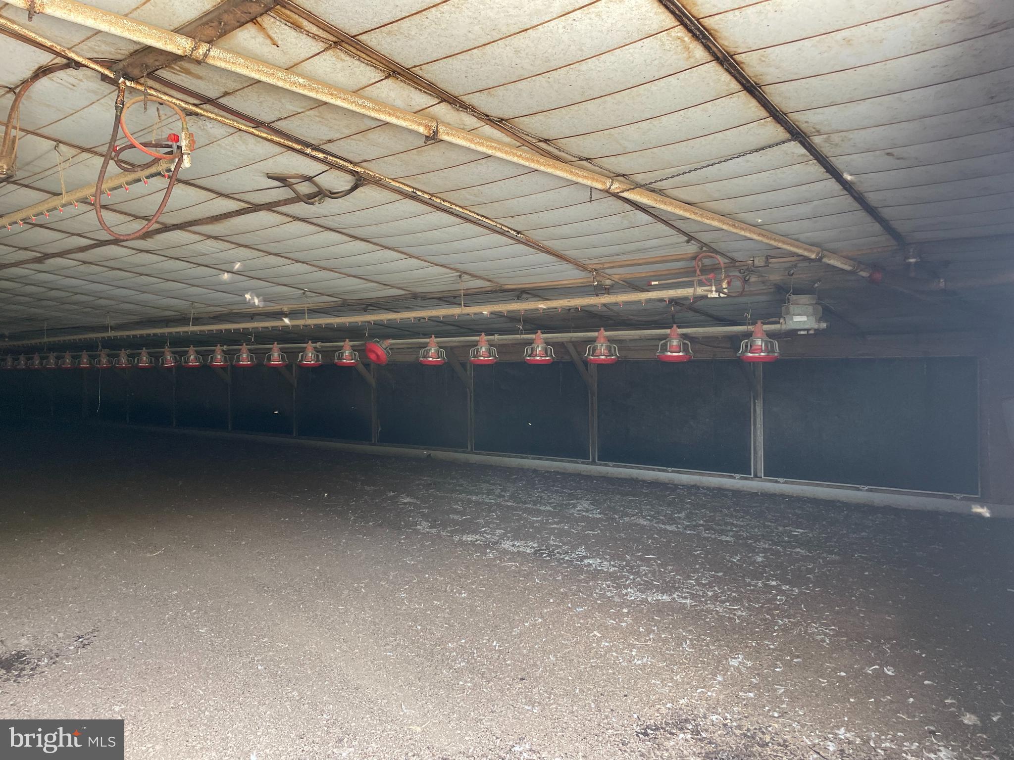 NONE AVAILABLE - Farm