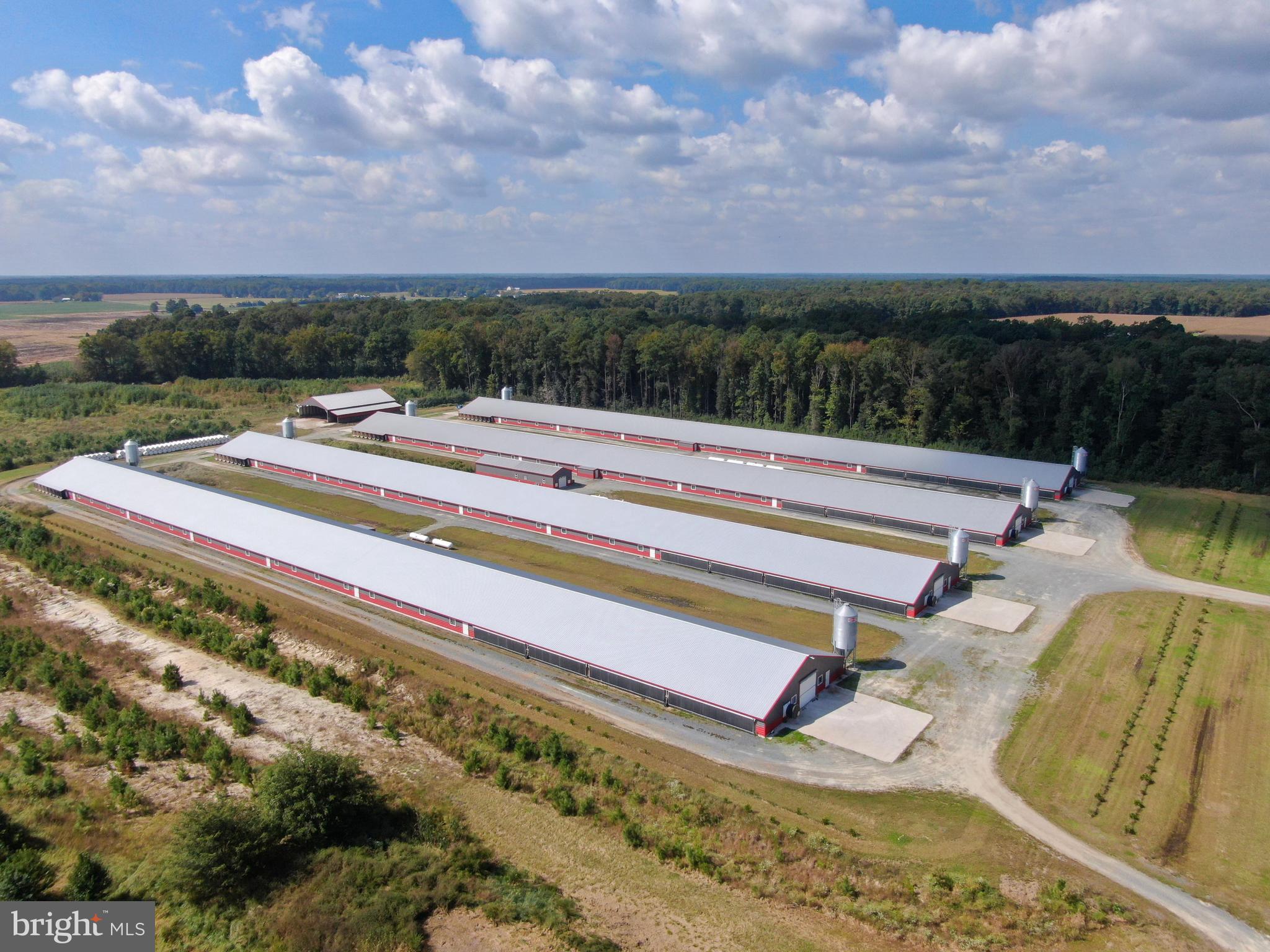 NONE AVAILABLE - Farm