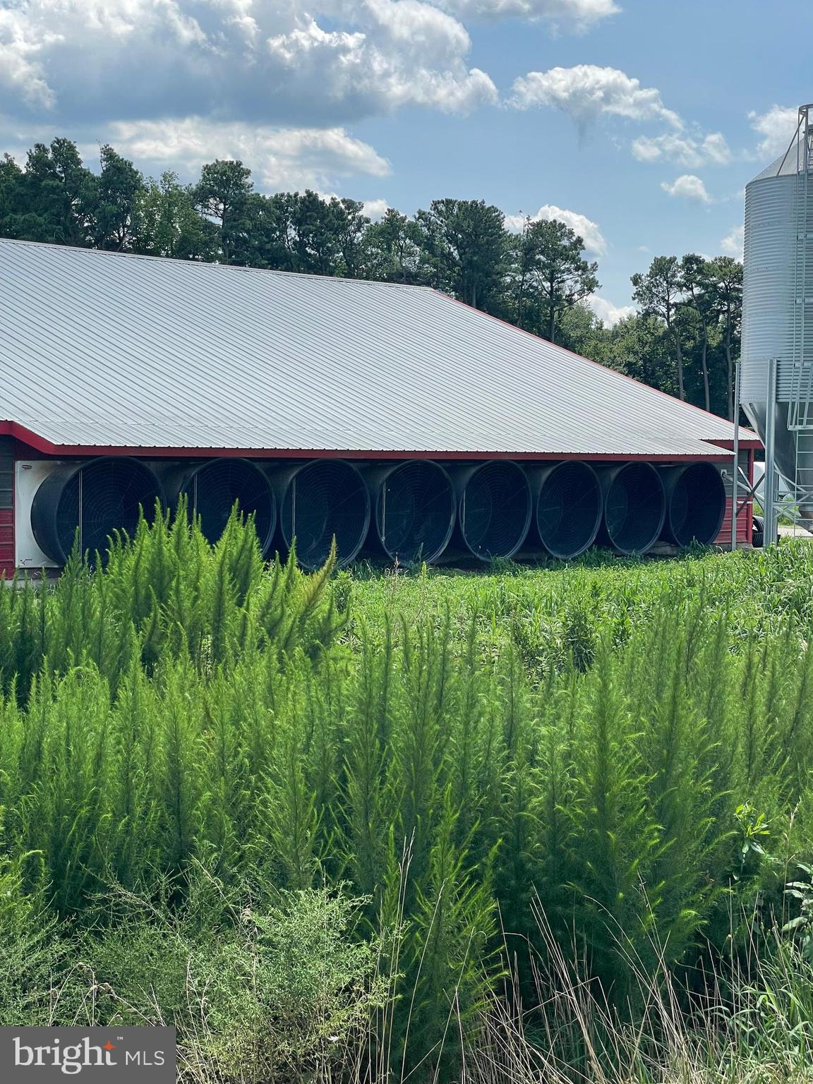 NONE AVAILABLE - Farm