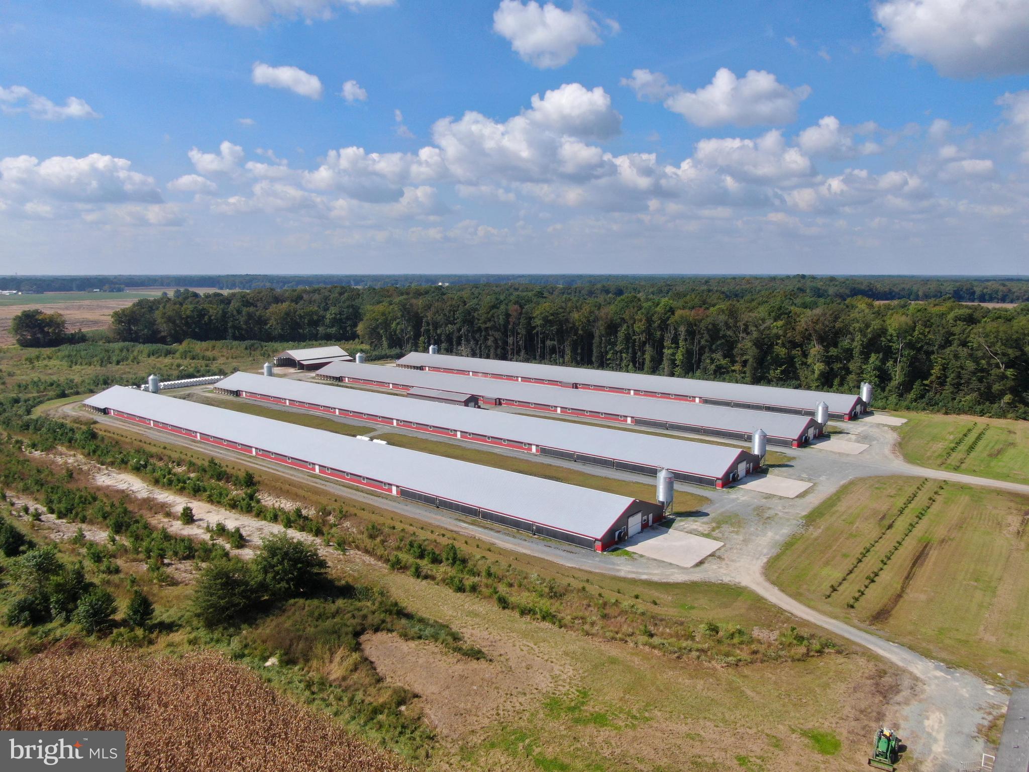 NONE AVAILABLE - Farm