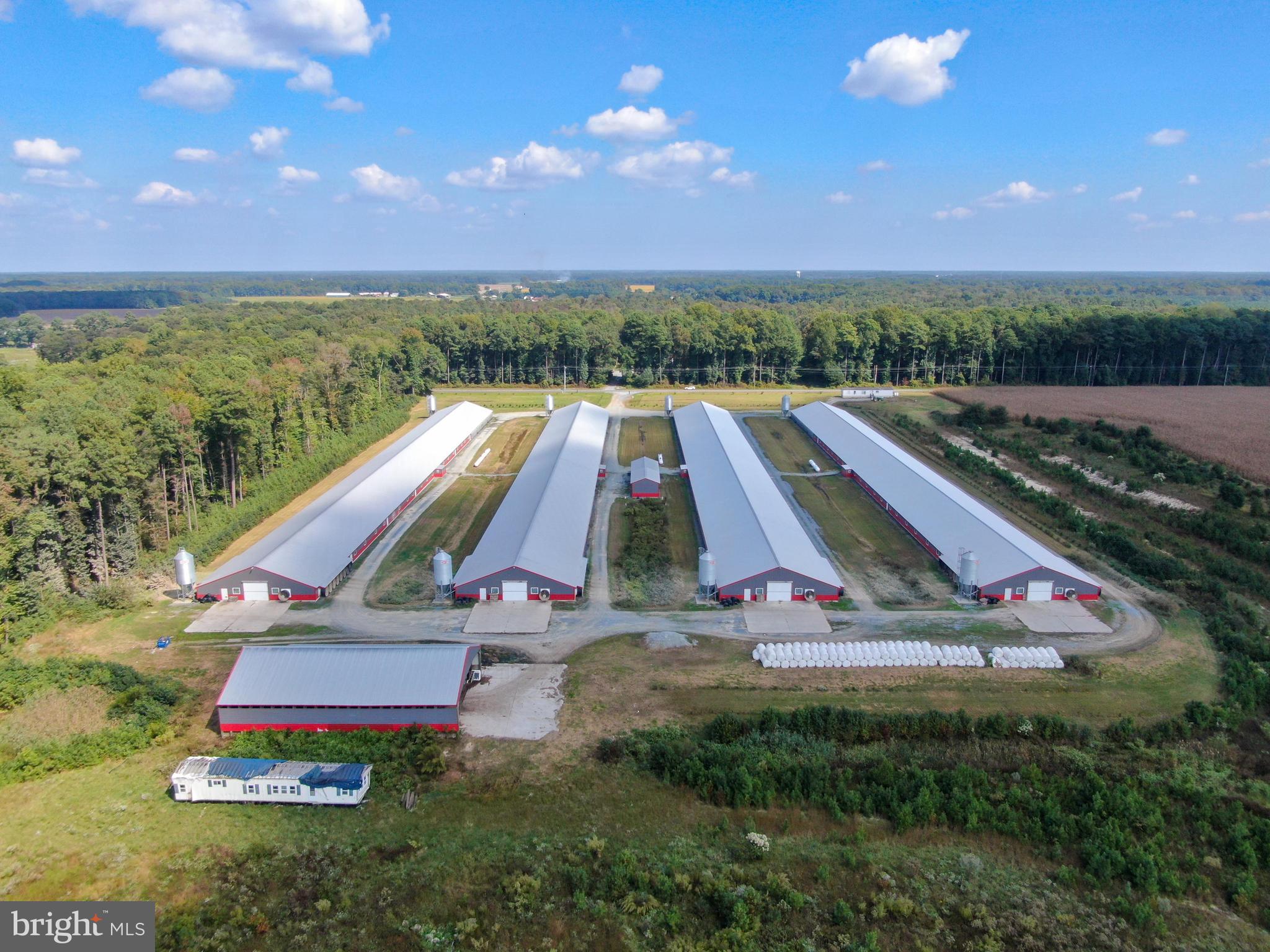 NONE AVAILABLE - Farm