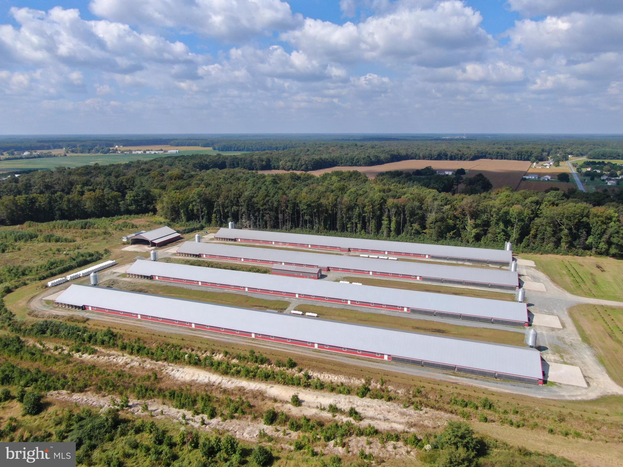 NONE AVAILABLE - Farm