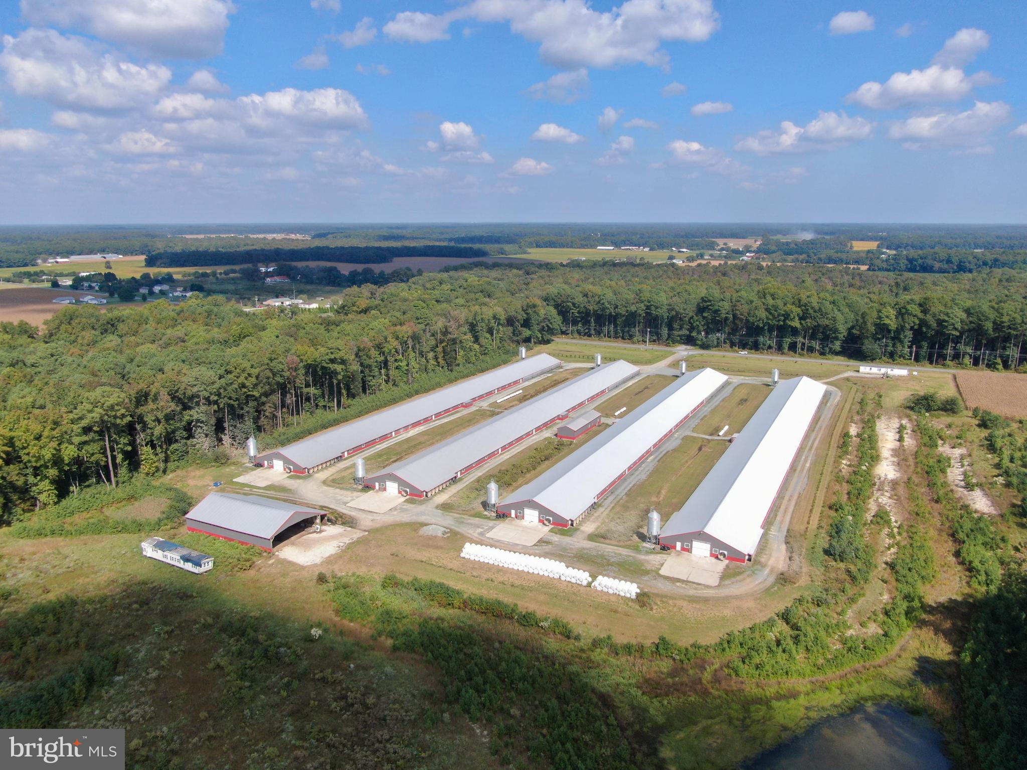 NONE AVAILABLE - Farm