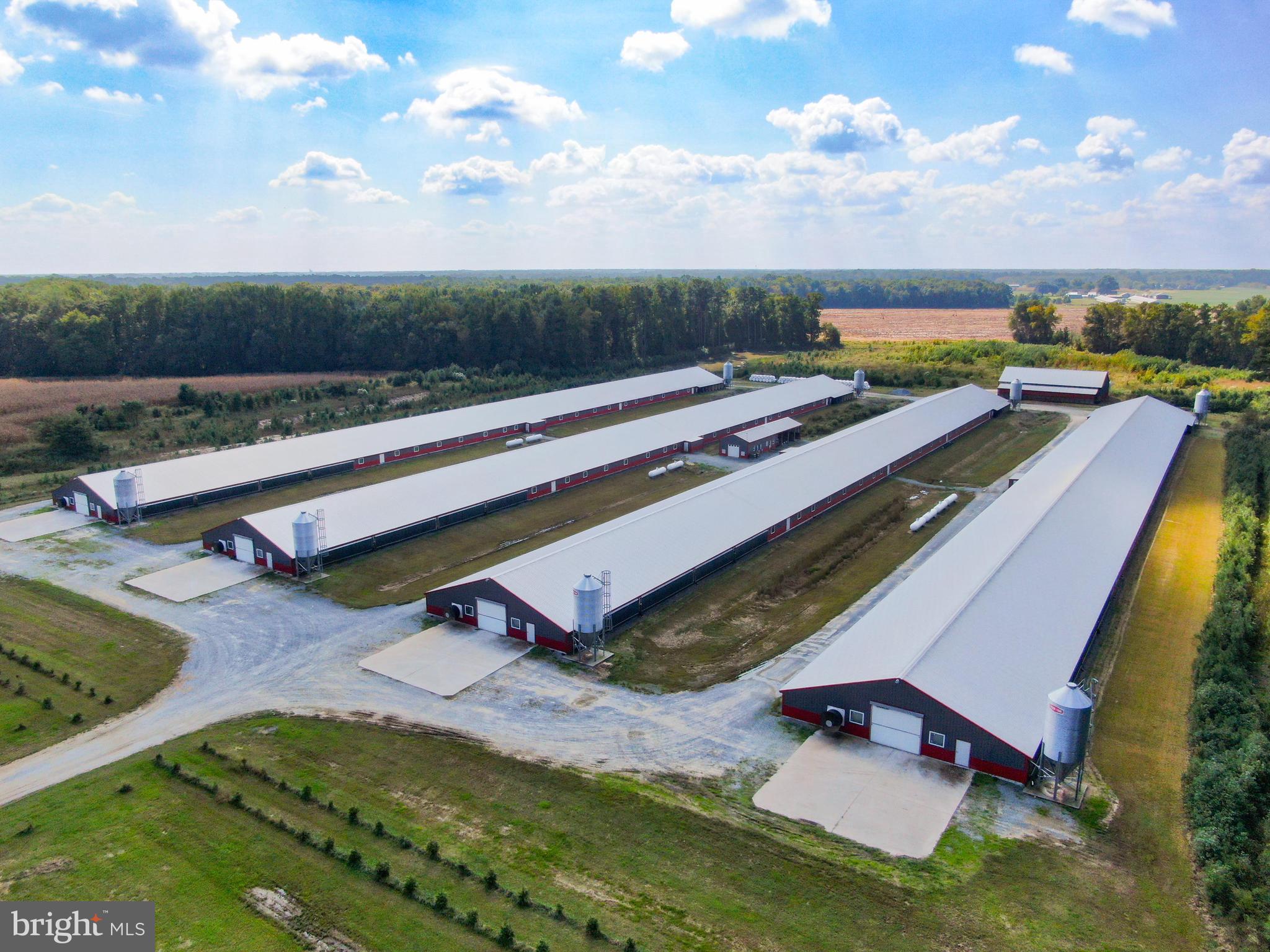 NONE AVAILABLE - Farm