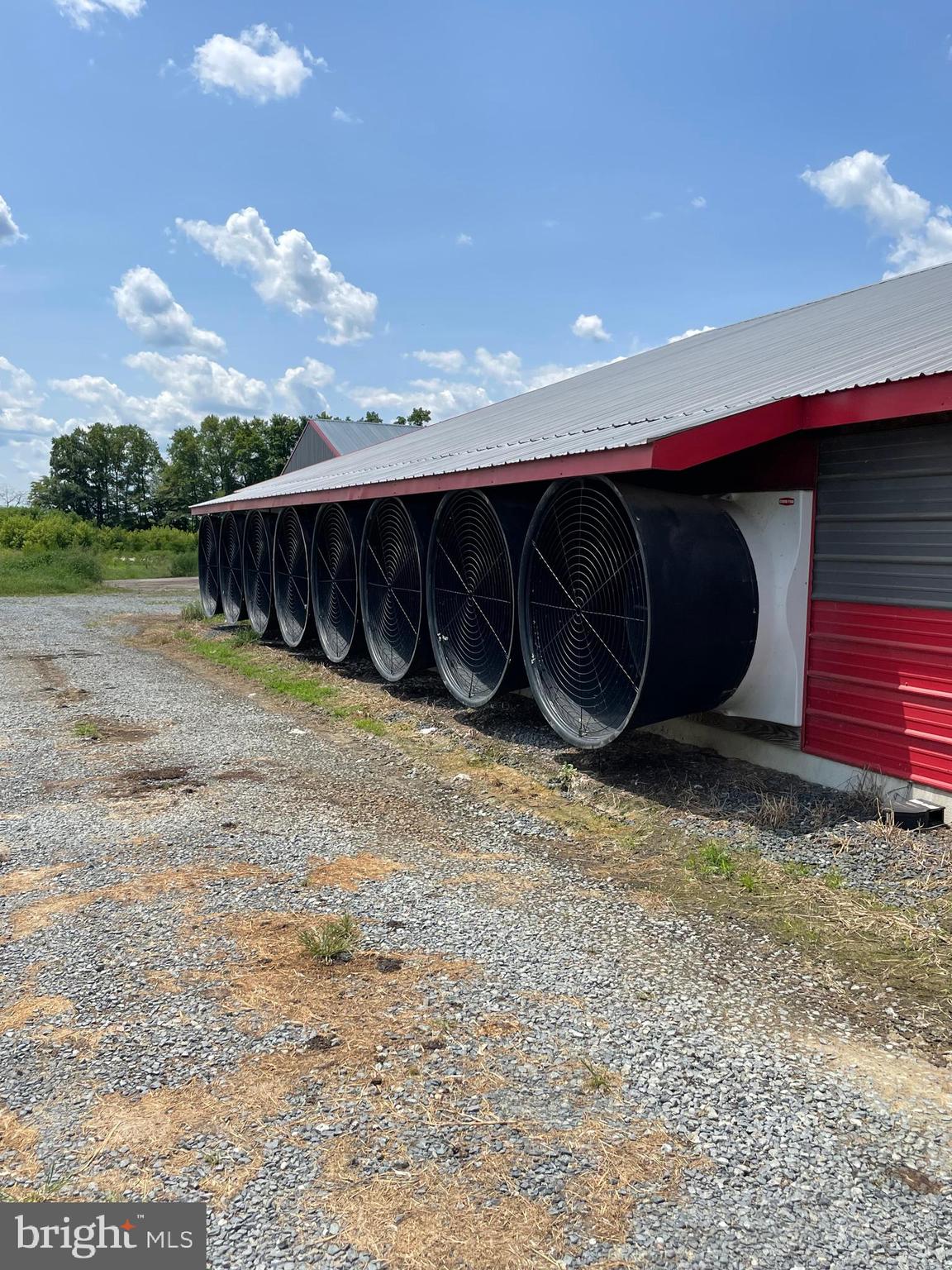 NONE AVAILABLE - Farm