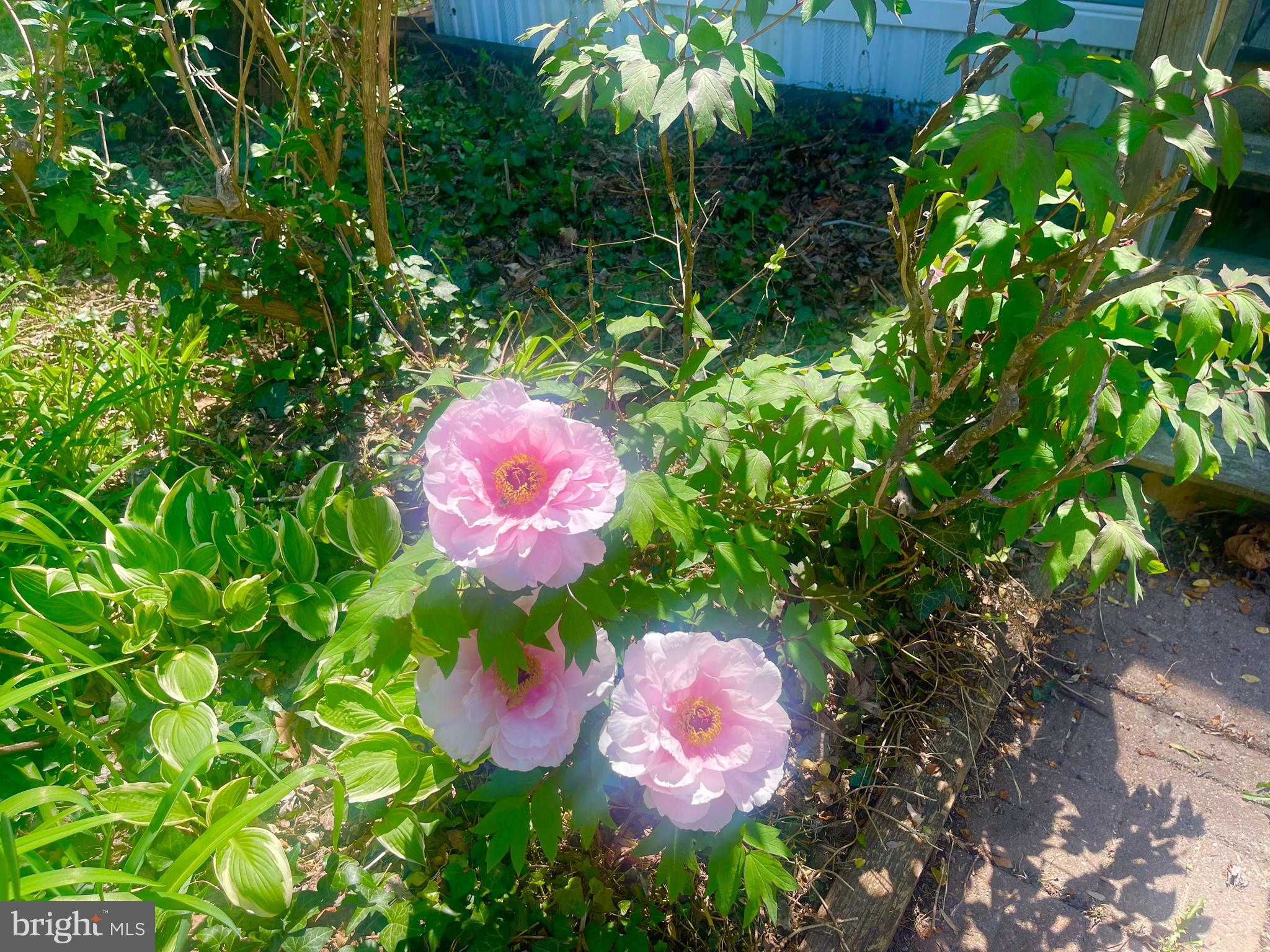 CALVERT BEACH ESTATES - Residential