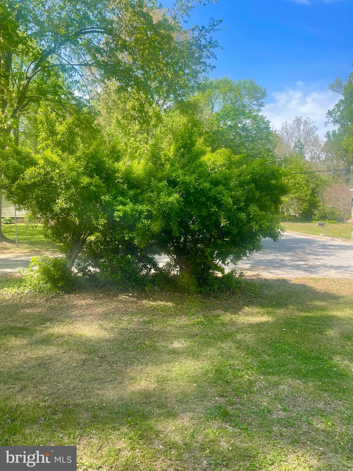 CALVERT BEACH ESTATES - Residential