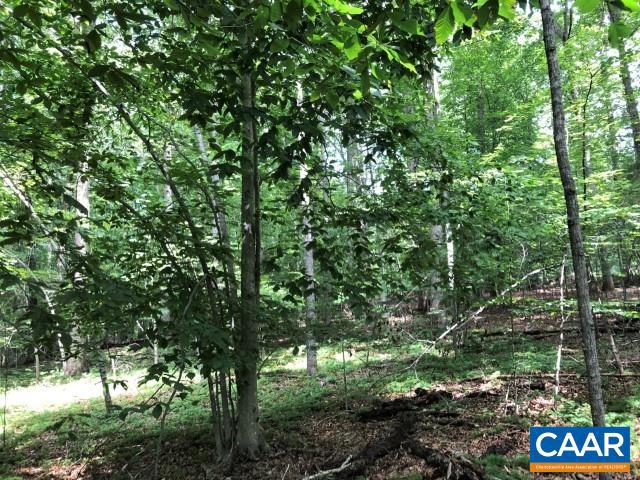 FOXWOOD FOREST - Land