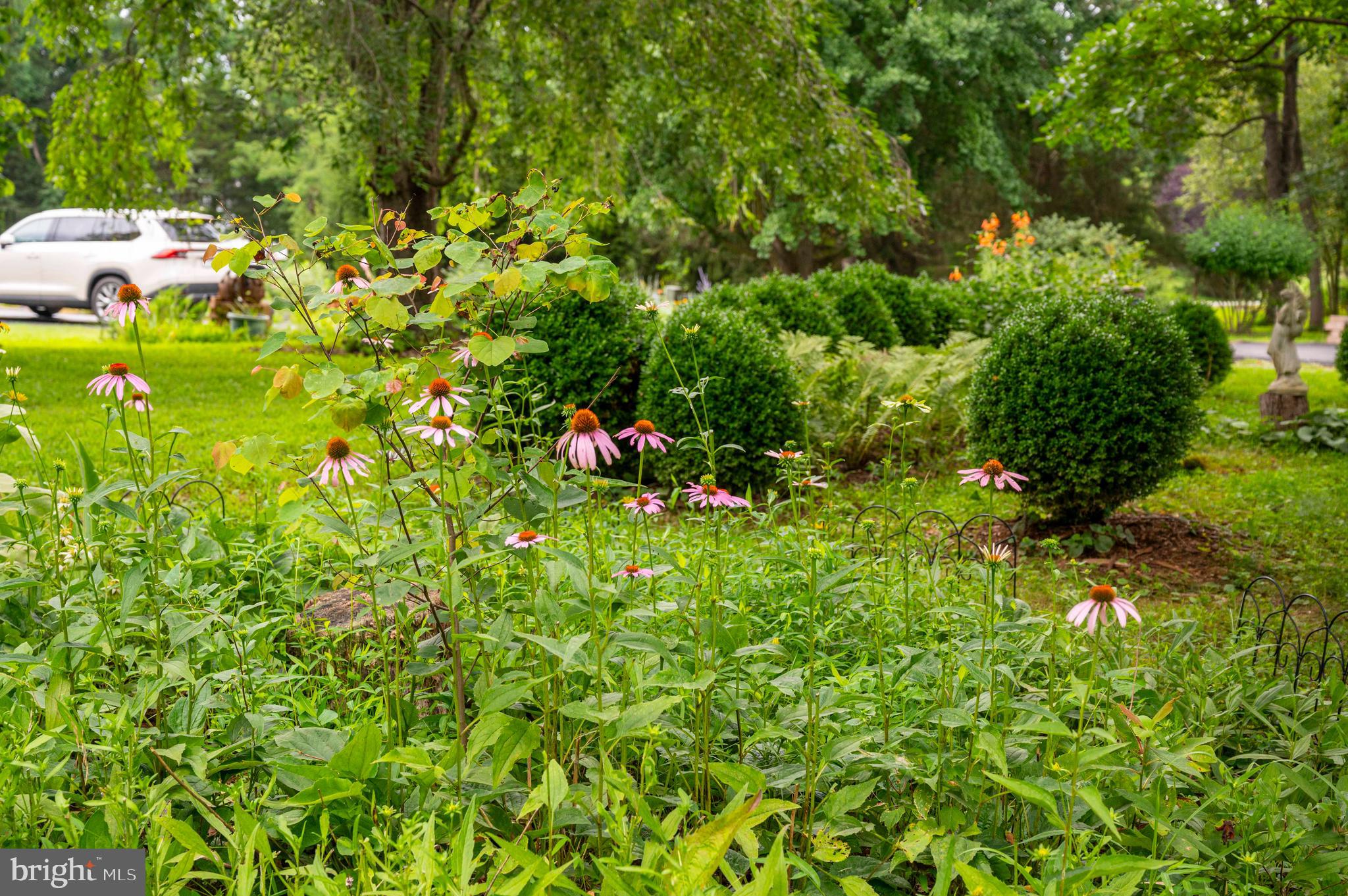 OAKLEIGH - Residential