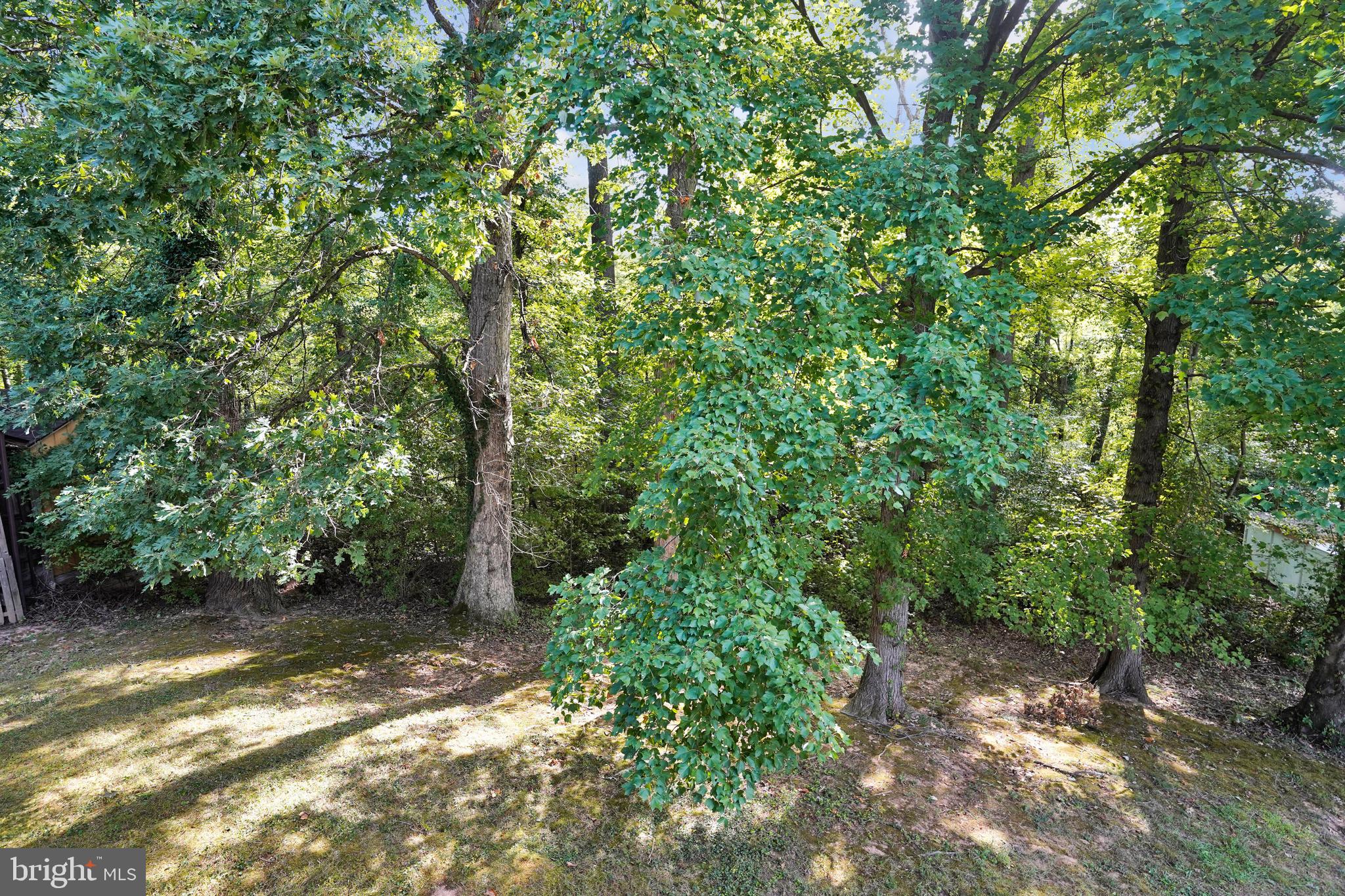 QUEENSBROOKE PLAT 2 - Residential