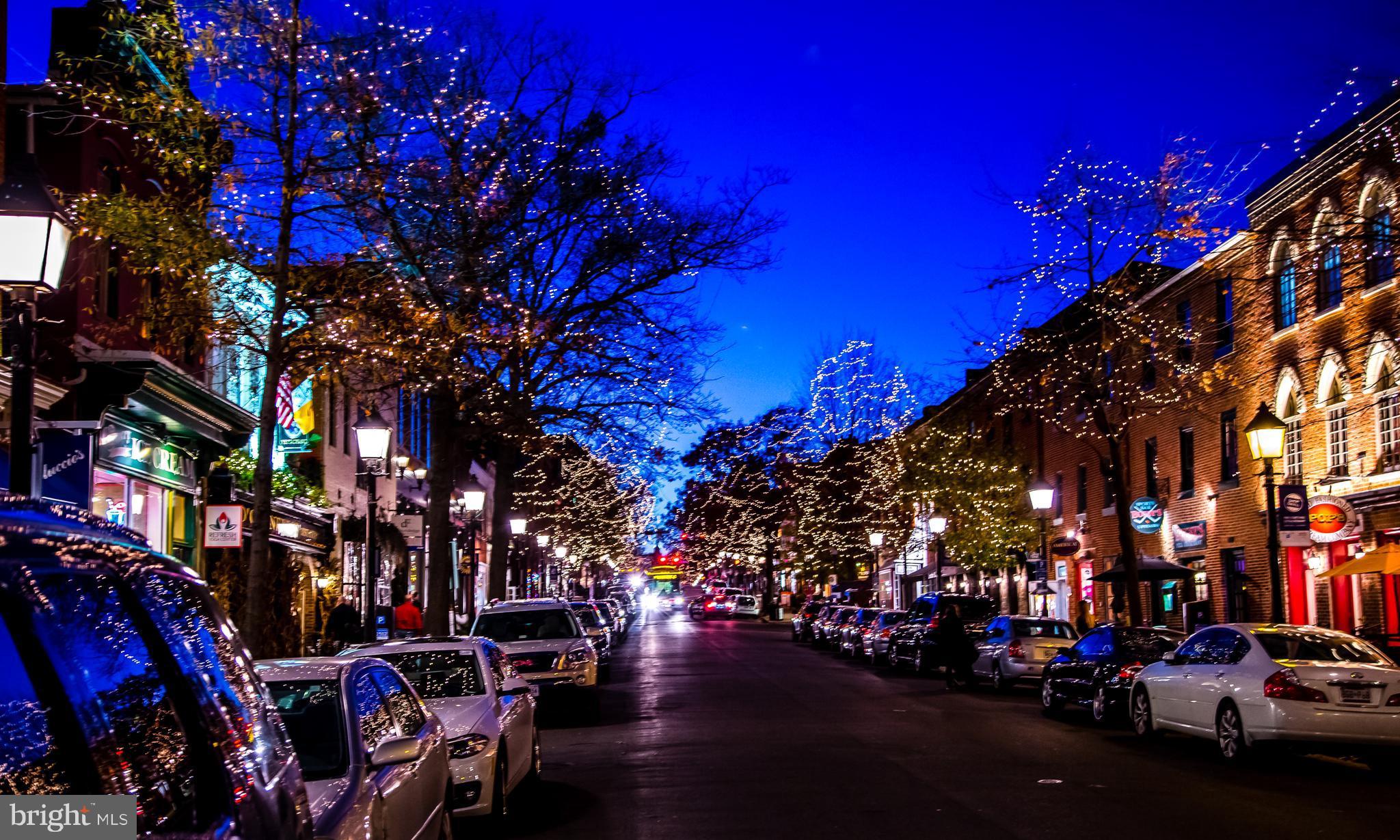 PITT MEWS - Residential