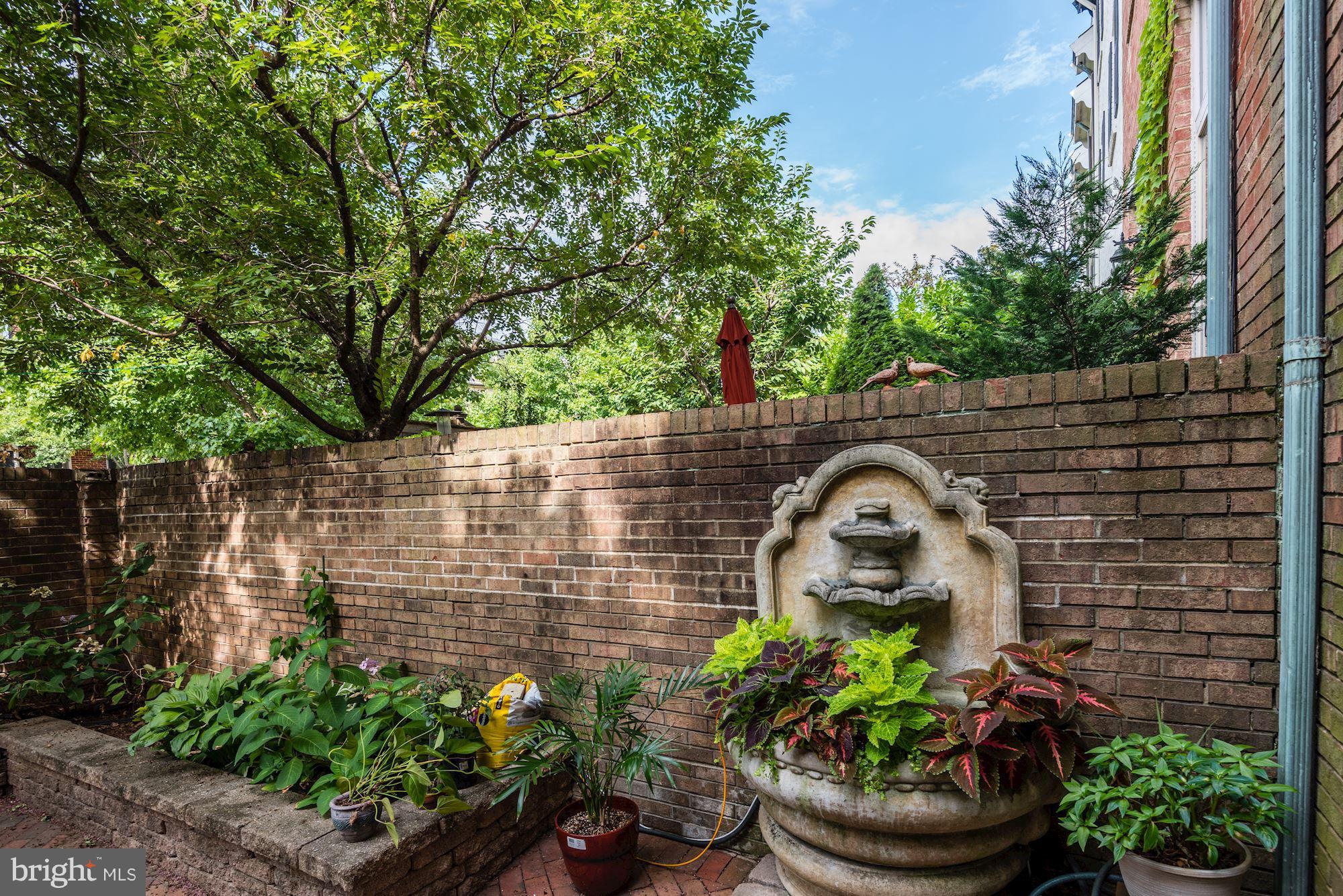 PITT MEWS - Residential