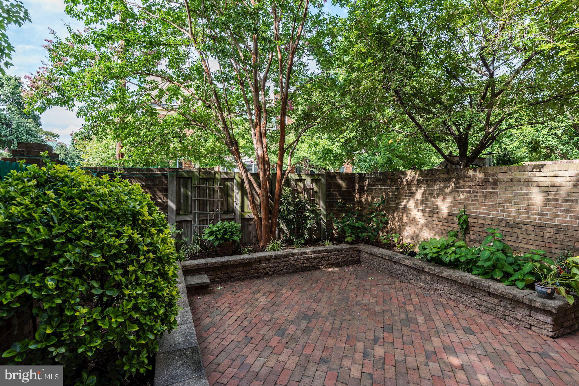 PITT MEWS - Residential