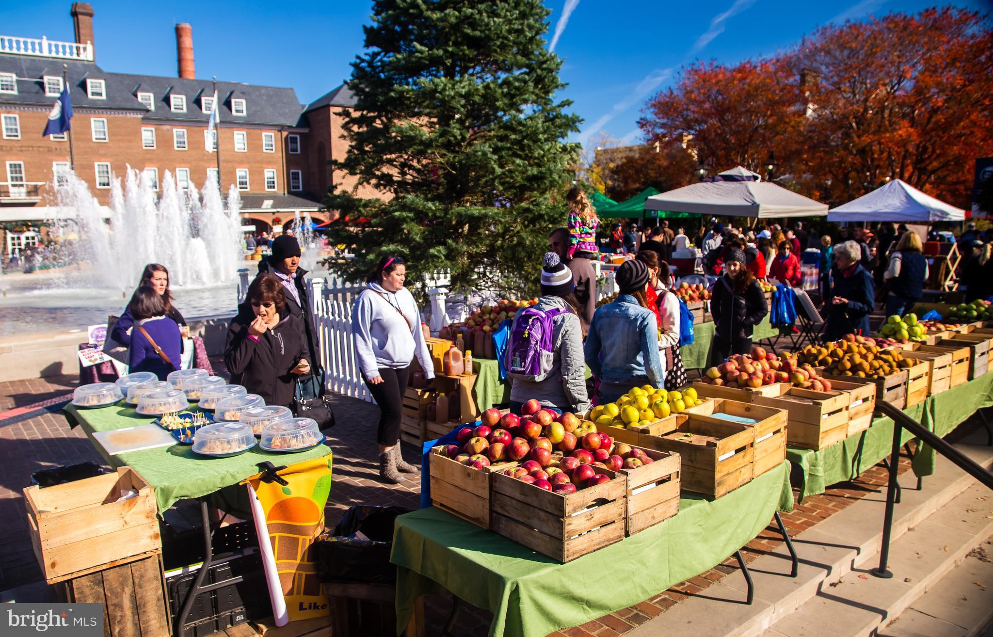 PITT MEWS - Residential