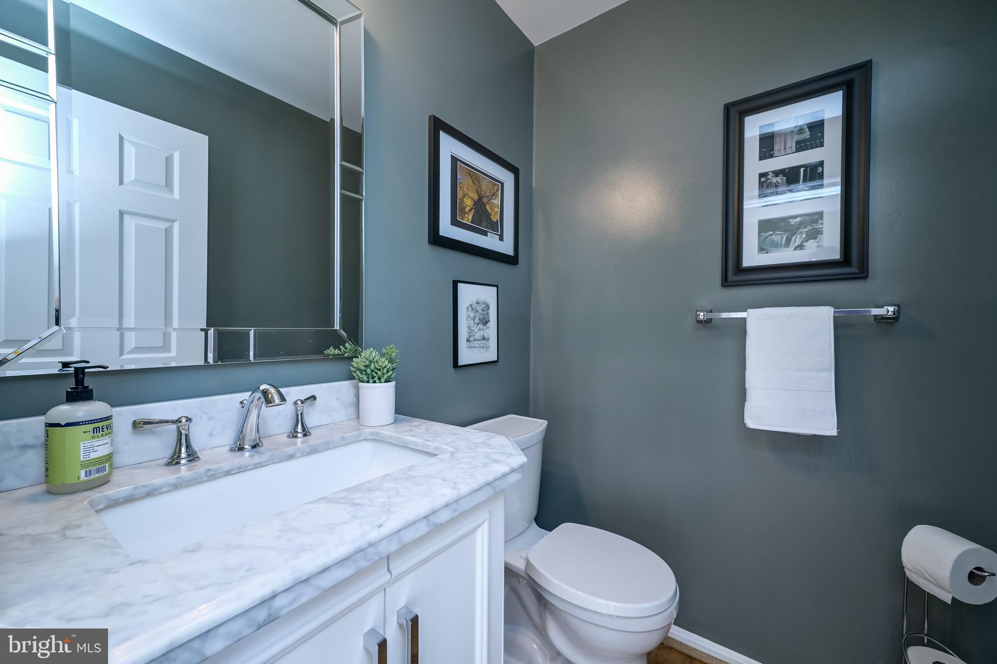 POTOMAC CHASE - Residential