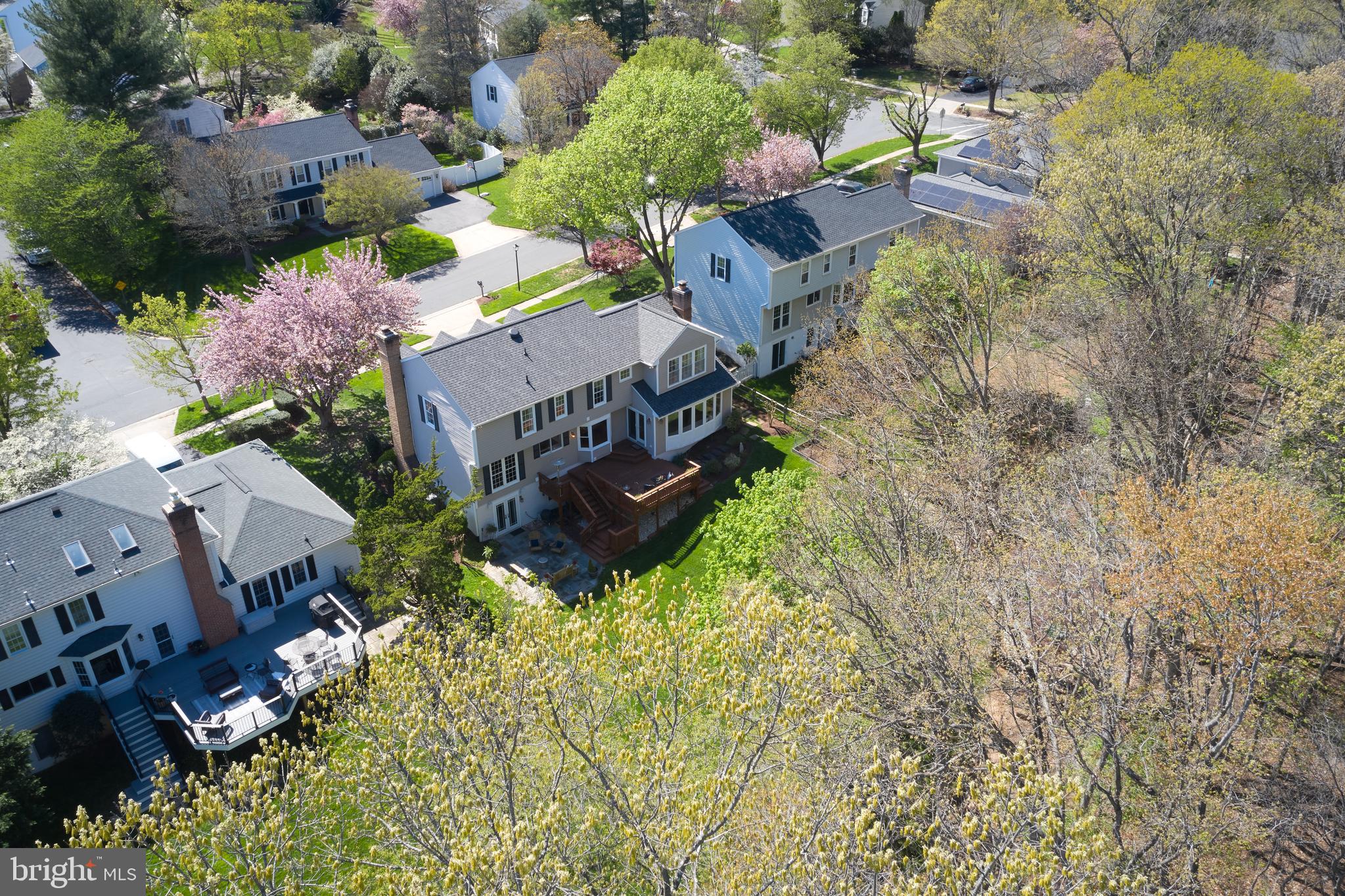 POTOMAC CHASE - Residential