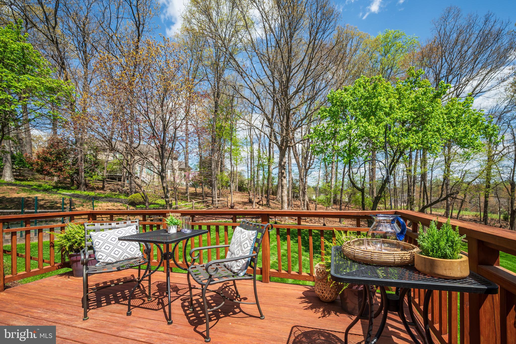 POTOMAC CHASE - Residential