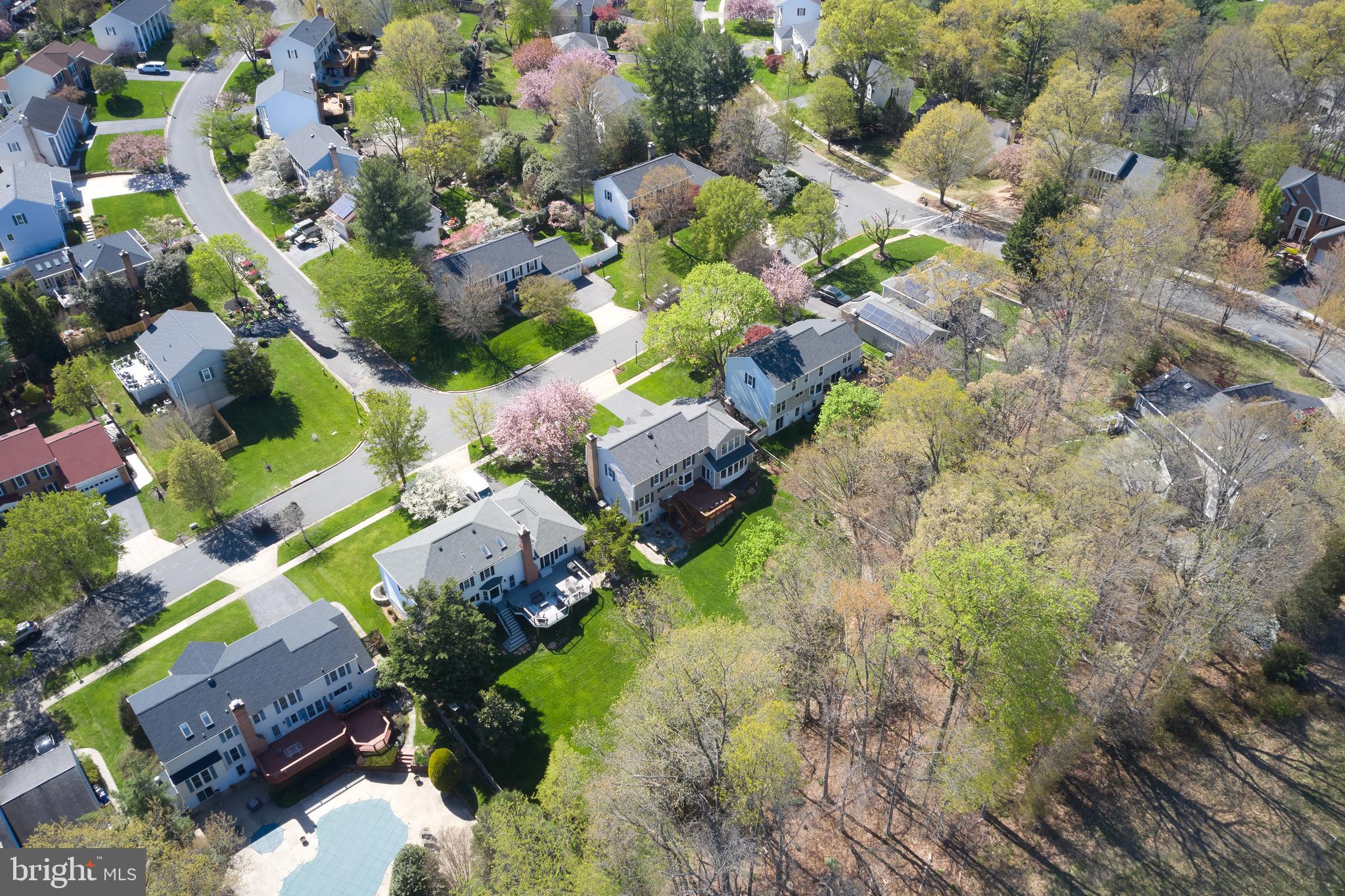 POTOMAC CHASE - Residential