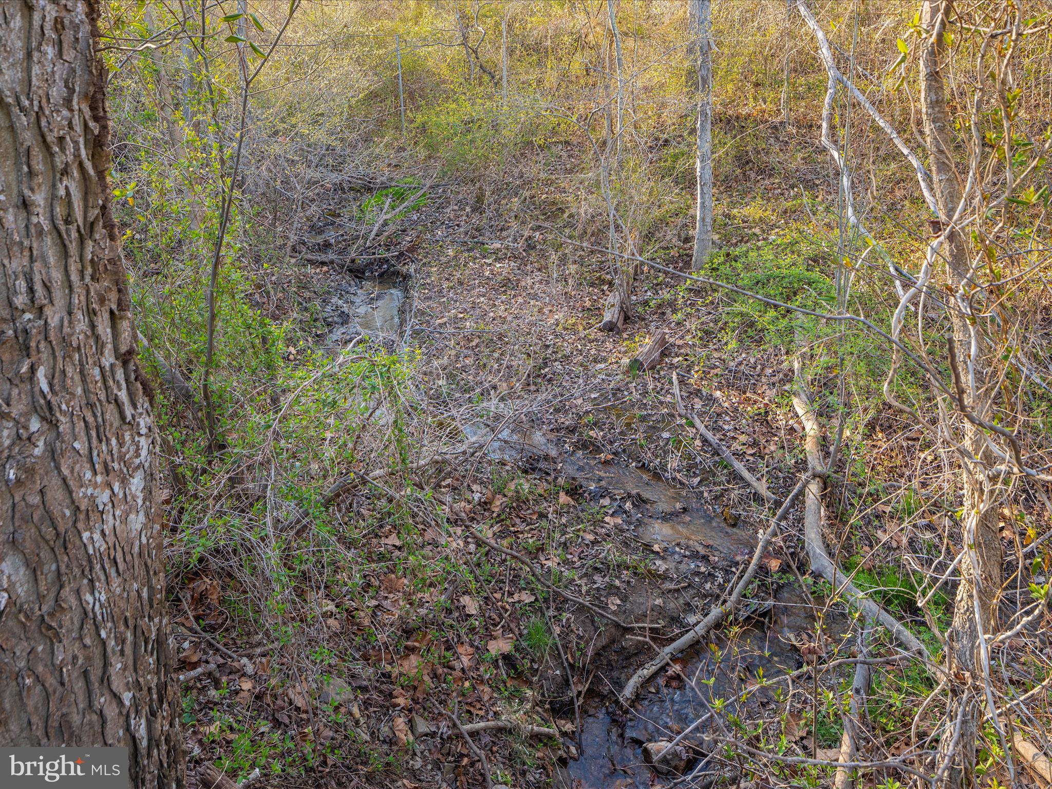 CAPON BRIDGE - Residential