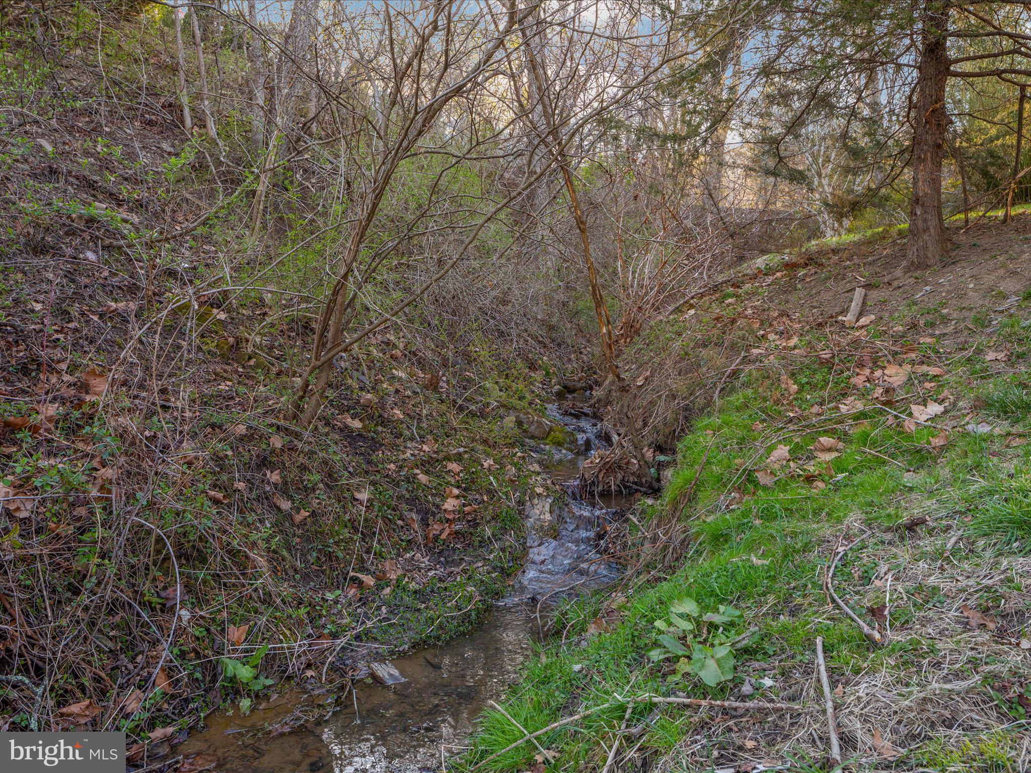 CAPON BRIDGE - Residential