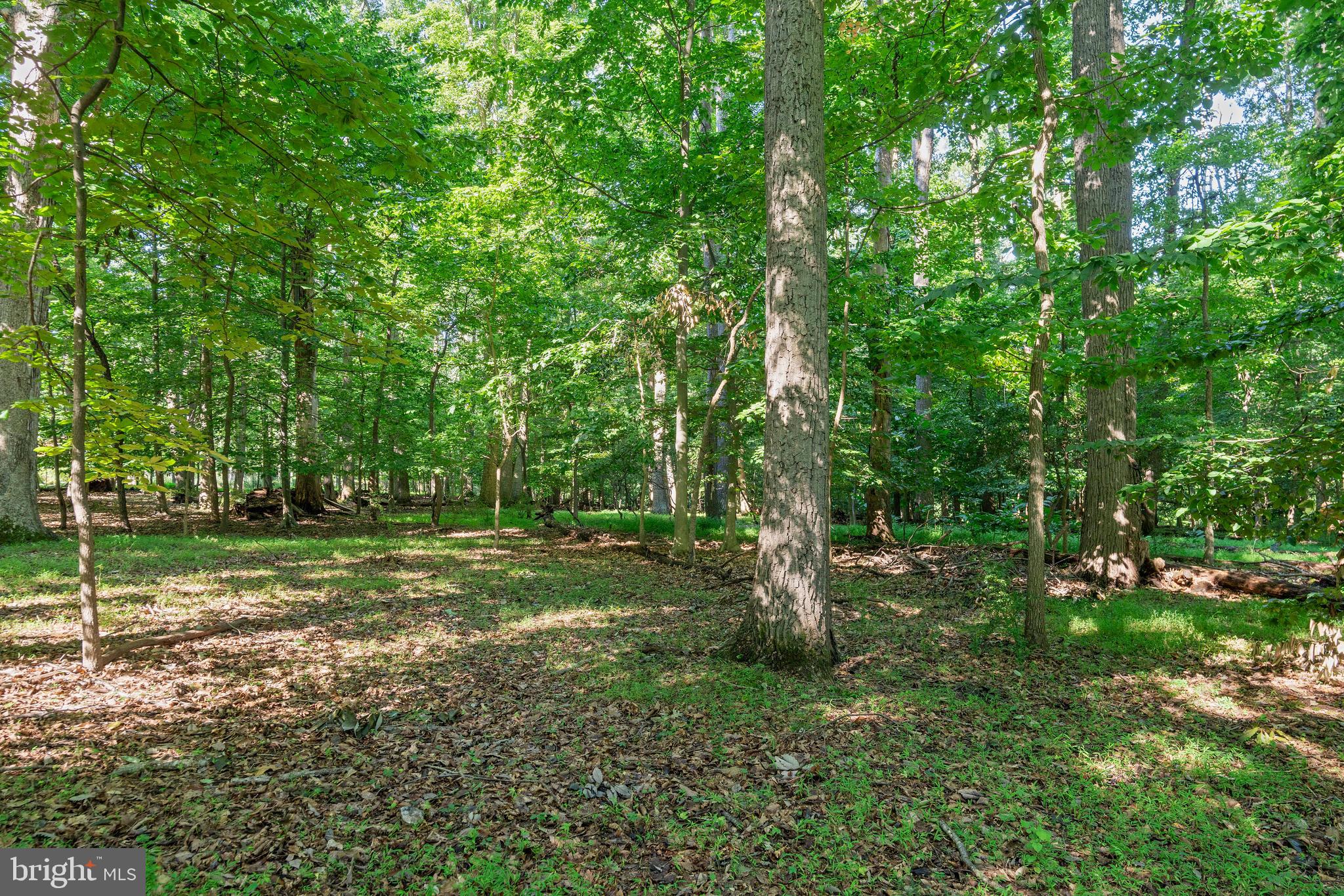 POTOMAC - Residential