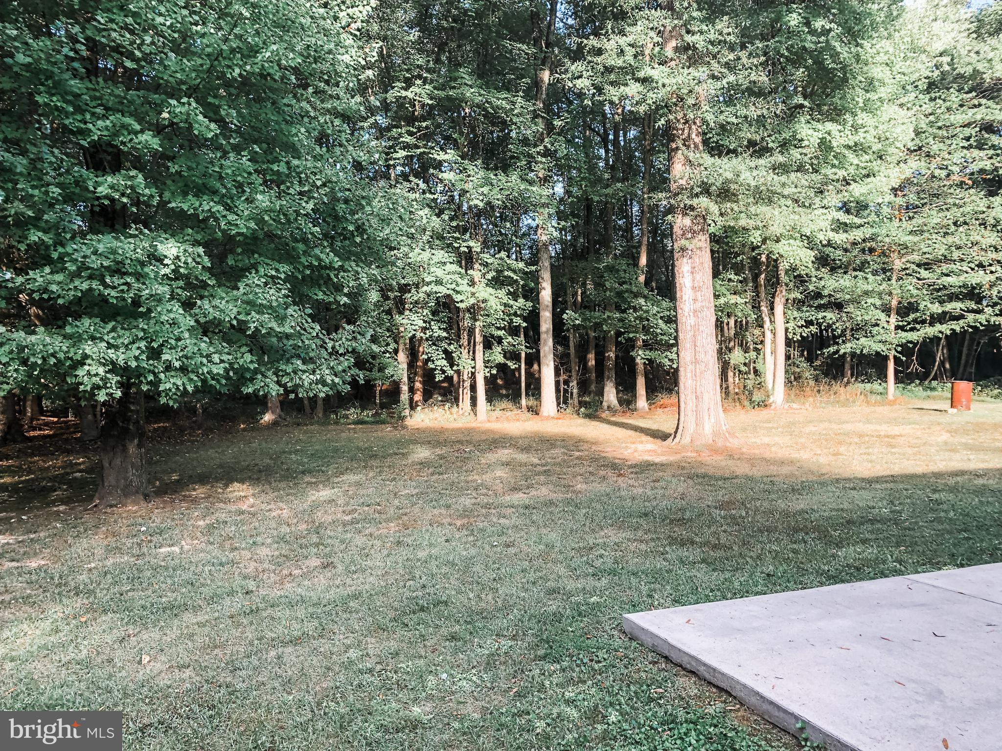 ESSEX SOUTH - Residential