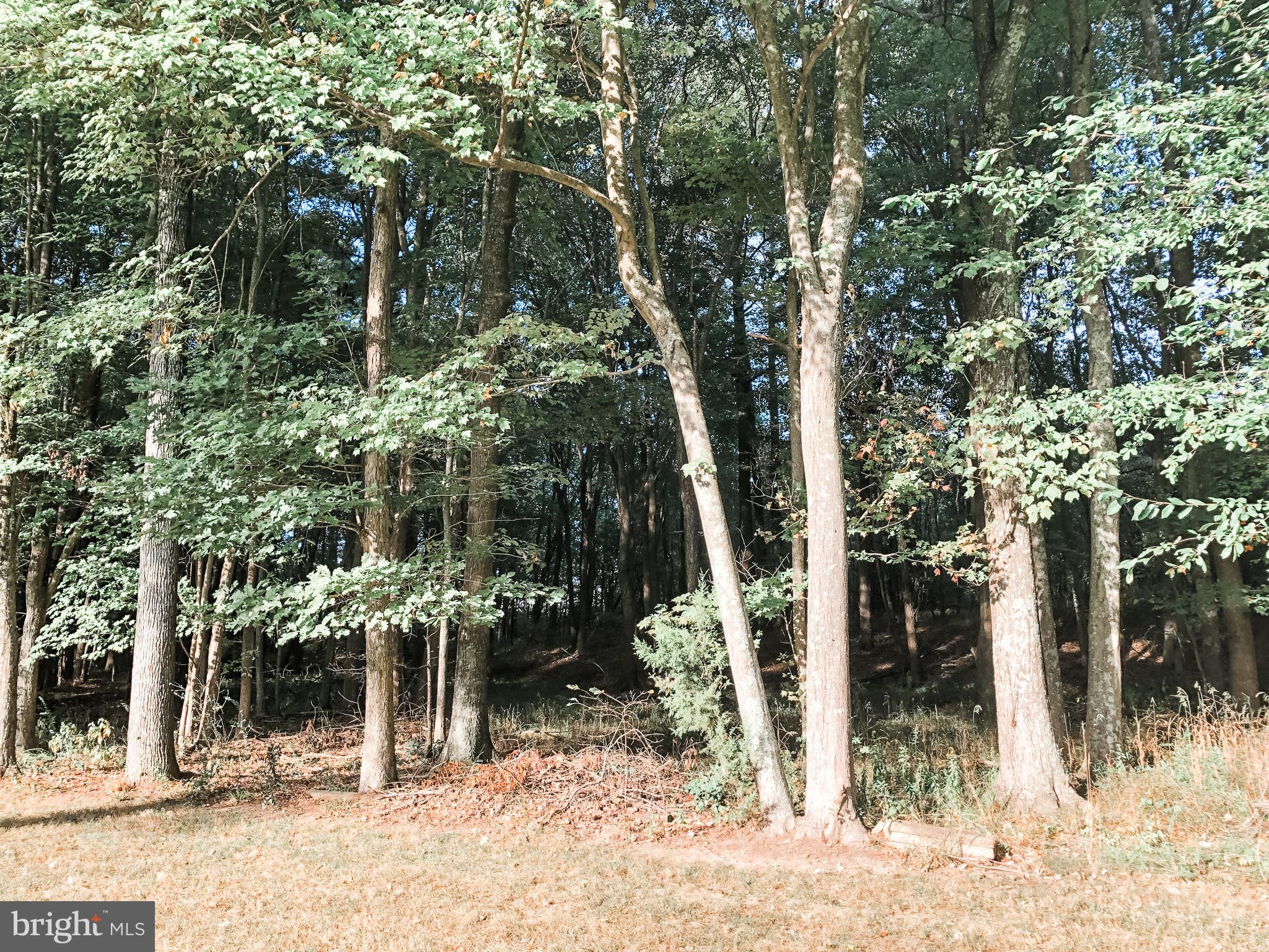 ESSEX SOUTH - Residential