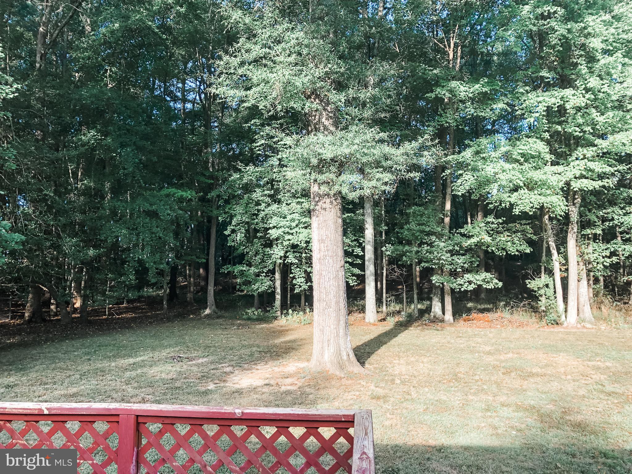 ESSEX SOUTH - Residential