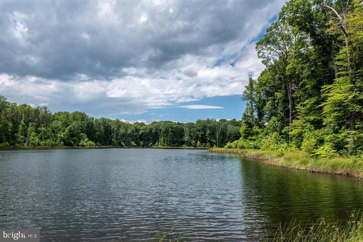 STAFFORD LAKES VILLAGE - Residential