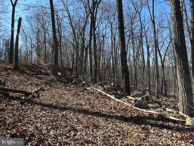 CABIN AT CAPON BRIDGE - Land