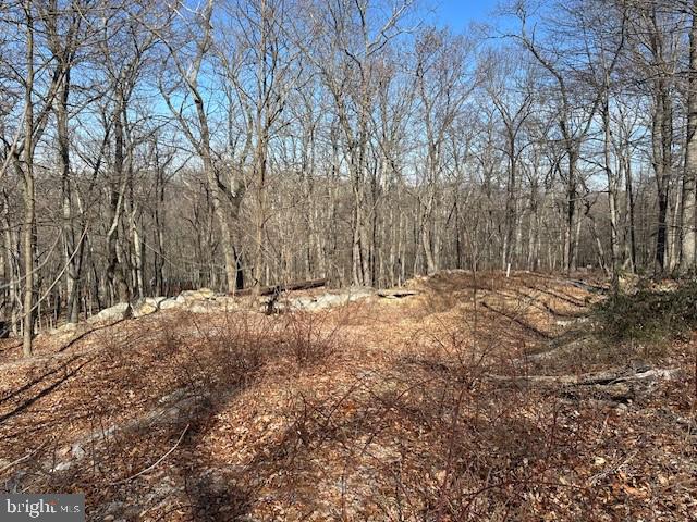 CABIN AT CAPON BRIDGE - Land