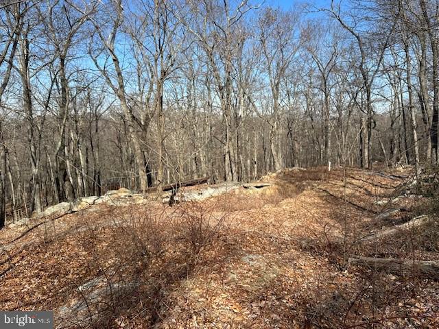 CABIN AT CAPON BRIDGE - Land