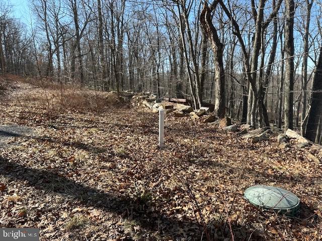 CABIN AT CAPON BRIDGE - Land