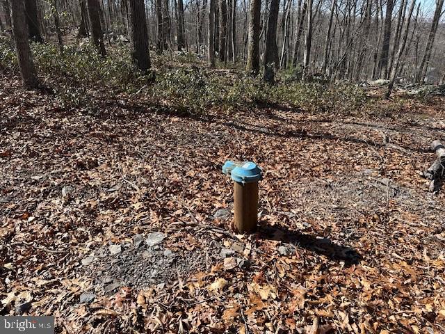 CABIN AT CAPON BRIDGE - Land