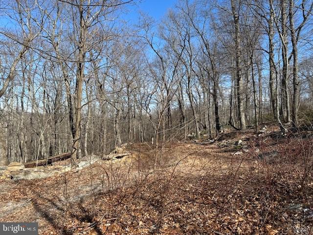 CABIN AT CAPON BRIDGE - Land