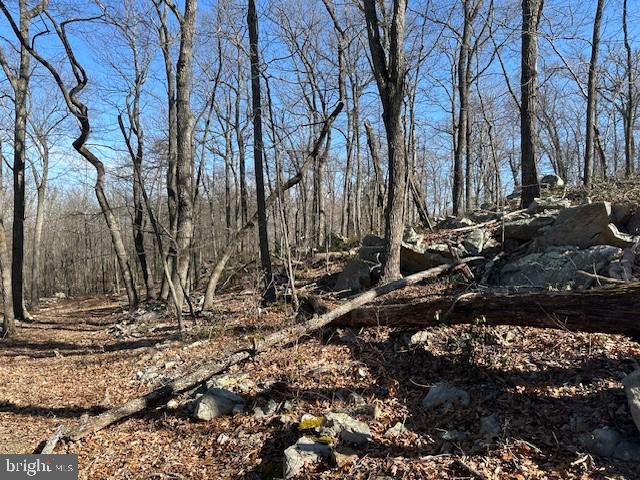 CABIN AT CAPON BRIDGE - Land