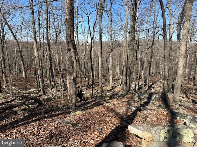 CABIN AT CAPON BRIDGE - Land