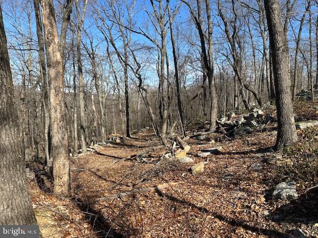 CABIN AT CAPON BRIDGE - Land