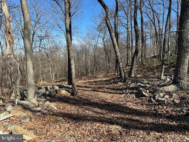 CABIN AT CAPON BRIDGE - Land
