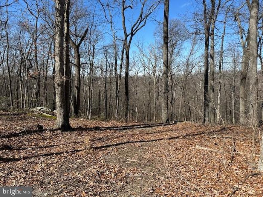 Turnkey Mountain homesite on 2.08 Acres – Cabin at Capon Bridge! Escape to the beauty of West Virginia with this ready-to-build mountain retreat in the sought-after Cabin at Capon Bridge community. Nestled on 2.08 acres, this property is already improved with a drilled well, septic system, driveway, and nearby electricity, making it a hassle-free start to your dream getaway. Conveniently located between Augusta and Capon Bridge, WV, this property offers the perfect balance of privacy and accessibility. Just 30 minutes from Winchester, VA, you can enjoy the peace and quiet of mountain living while staying close to modern conveniences. Hampshire County is an outdoor enthusiast’s paradise, offering thousands of acres of public land and waterways for fishing, hiking, hunting, and exploring. Whether you’re looking for a weekend escape or a full-time residence, this property provides the ideal foundation for your mountain retreat. Take the uncertainty out of your next move and invest in a property with real, lasting value. Don’t miss this rare opportunity—start building your dream getaway today!